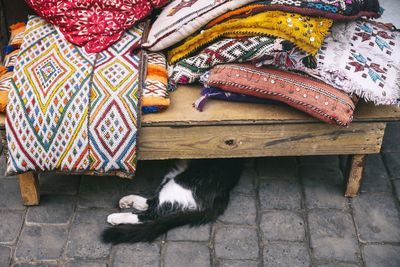 High angle view of a cat
