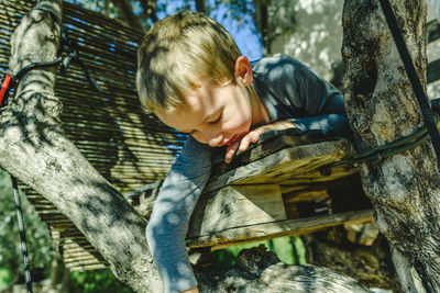 Boy on wood by tree trunk