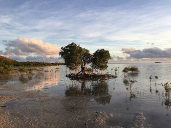 Scenic view of lake against sky