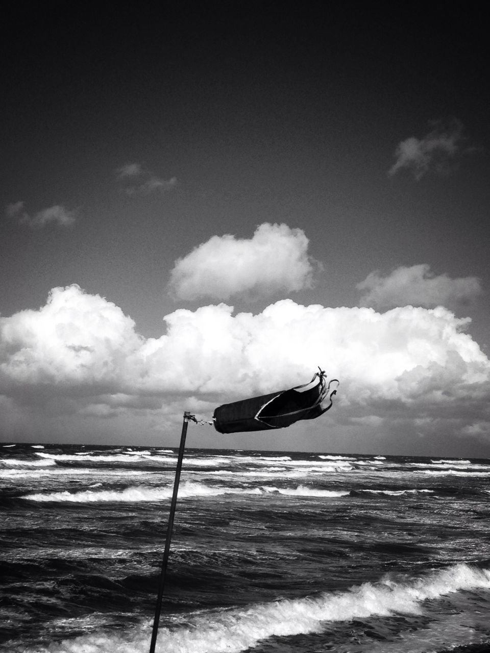 sea, water, beach, horizon over water, sky, shore, wave, sand, beauty in nature, nature, scenics, flying, cloud - sky, tranquility, animal themes, tranquil scene, bird, wildlife, animals in the wild, one animal