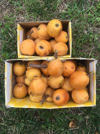 High angle view of apples in box