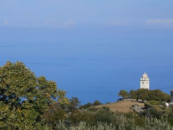 Plants growing outside building against sky