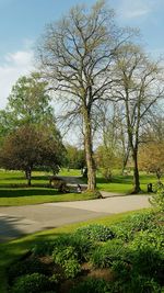 View of trees on grassy field against sky