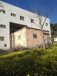 Plants growing on field by building