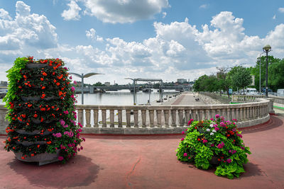 Flowering plants by bridge against sky