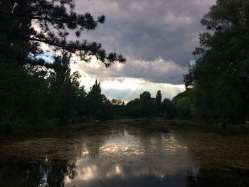 Scenic view of river in forest against sky