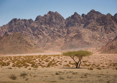 Scenic view of desert against clear sky