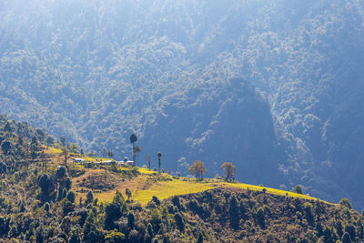 Scenic view of land against mountains