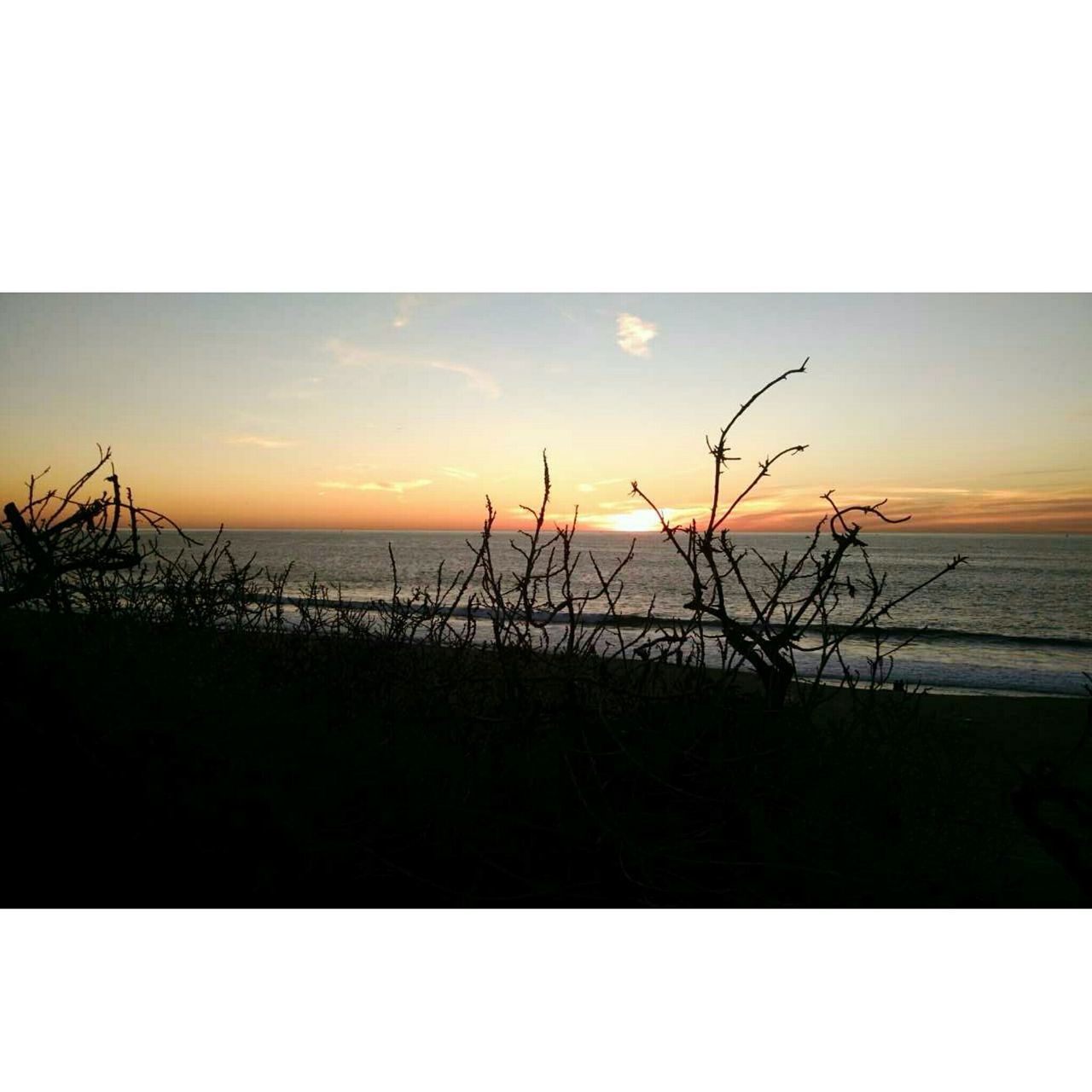 horizon over water, sunset, sea, tranquil scene, tranquility, scenics, beauty in nature, sky, water, transfer print, nature, beach, silhouette, idyllic, auto post production filter, plant, sun, shore, orange color, outdoors