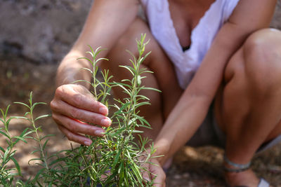 Midsection of woman holding plant