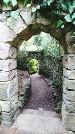 View of stone wall in forest