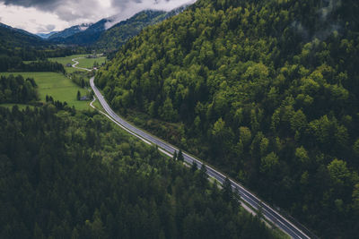 High angle view of road amidst trees in forest