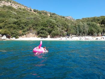 View of swan in sea against clear blue sky