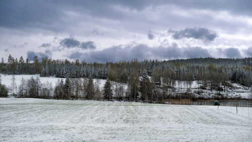 Scenic view of field against sky during winter