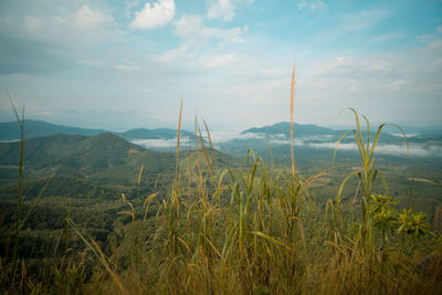 Scenic view of land against sky