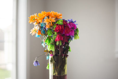 Close-up of multi colored flowers in vase