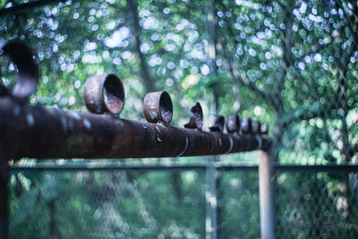 Low angle view of metal railing