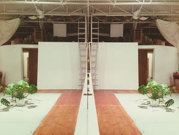 Potted plant on floor in building