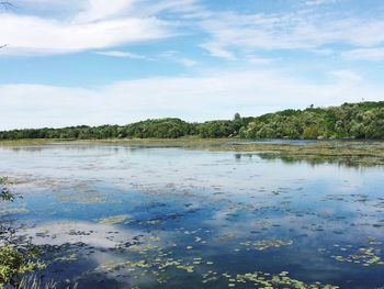 Scenic view of lake in forest against sky
