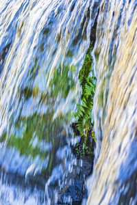 Close-up of water flowing through rocks