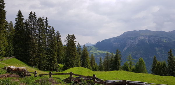 Scenic view of trees and mountains against sky