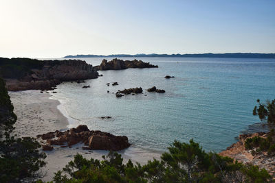 View of pink beach in budelli island,sardinia.