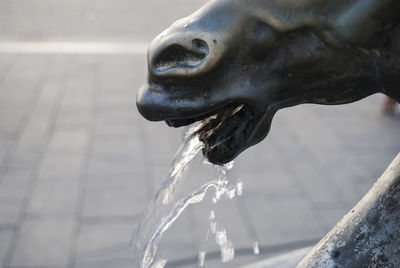 Close-up of water splashing in fountain