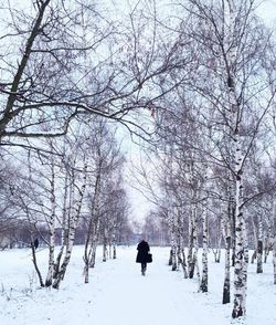 Bare trees on snow covered landscape