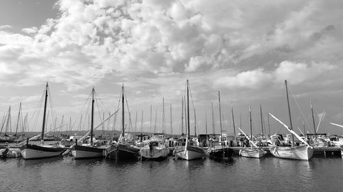 Sailboats moored in harbor