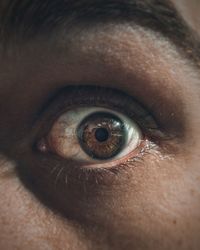 Close-up of a astonished human eye 