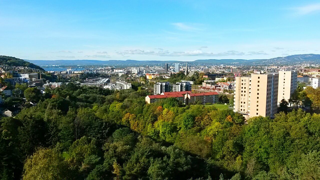 AERIAL VIEW OF CITYSCAPE