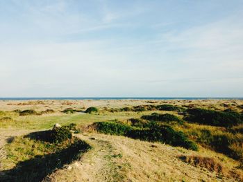 Scenic view of beach against sky