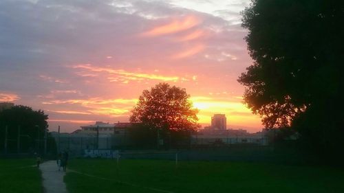 Trees in city against sky during sunset