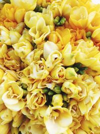 Full frame shot of yellow flowers