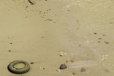 Full frame shot of wet sand