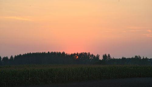 Scenic view of field against sky during sunset