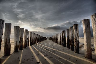 Panoramic shot of wooden posts on beach