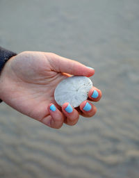 Cropped hand of woman holding pebble