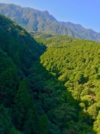 High angle view of green landscape against sky