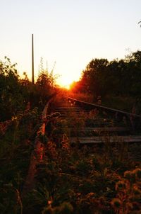 Railroad track amidst trees against clear sky during sunset