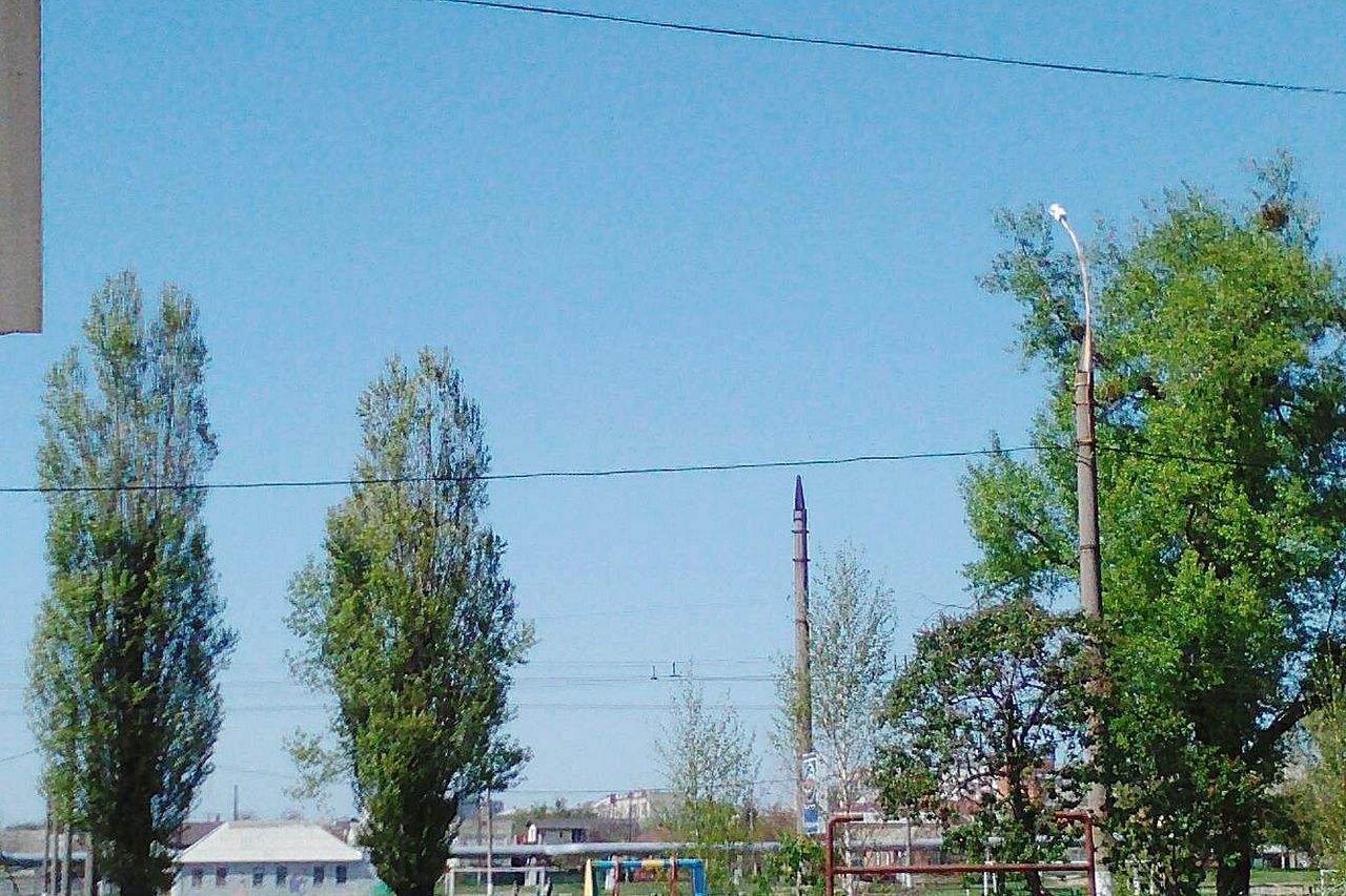 tree, clear sky, day, cable, no people, outdoors, nature, blue, low angle view, built structure, sky, architecture, growth, electricity pylon, building exterior, beauty in nature, blue sky