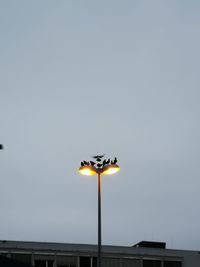 Low angle view of illuminated street light against sky