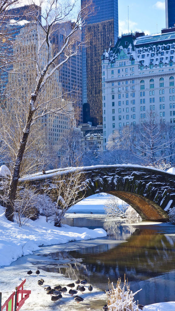 FROZEN RIVER AMIDST BUILDINGS IN CITY