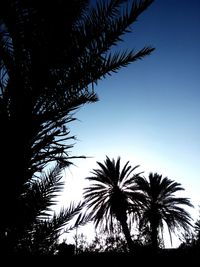 Low angle view of silhouette palm trees against clear sky