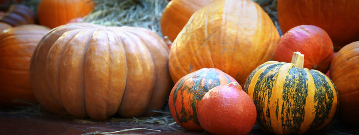 Close-up of pumpkins