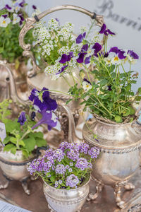 Close-up of flowers on table