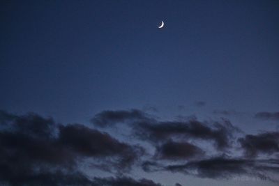 Low angle view of moon in sky at night