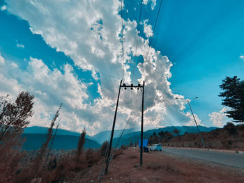 Low angle view of plants on land against sky