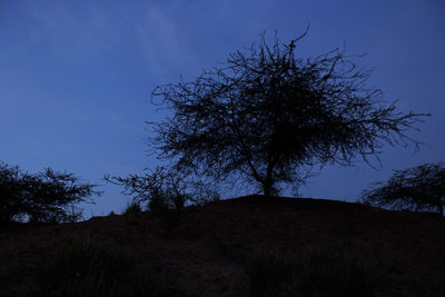 Low angle view of silhouette tree against blue sky