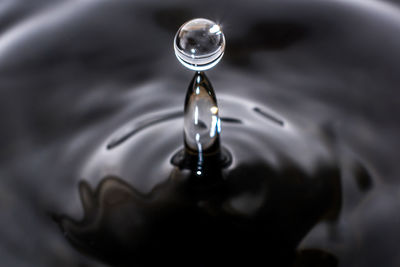 Close-up of water drop